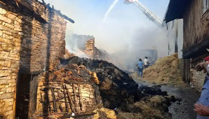 Köyde Çıkan Yangın, 4 Evi Kül Etti: Olay Korku Dolu Anlara Yol Açtı