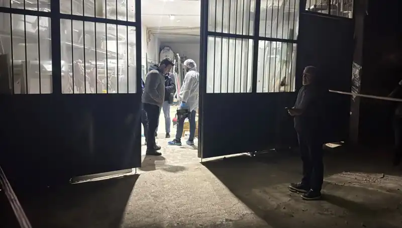 İş Yerinde Korkunç Cinayet: Battaniye ile Gizlenen Karanlık Gerçekler