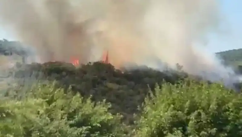 İstanbul'da Orman Yangını: Vatandaşların Tahliyesi ve Son Gelişmeler