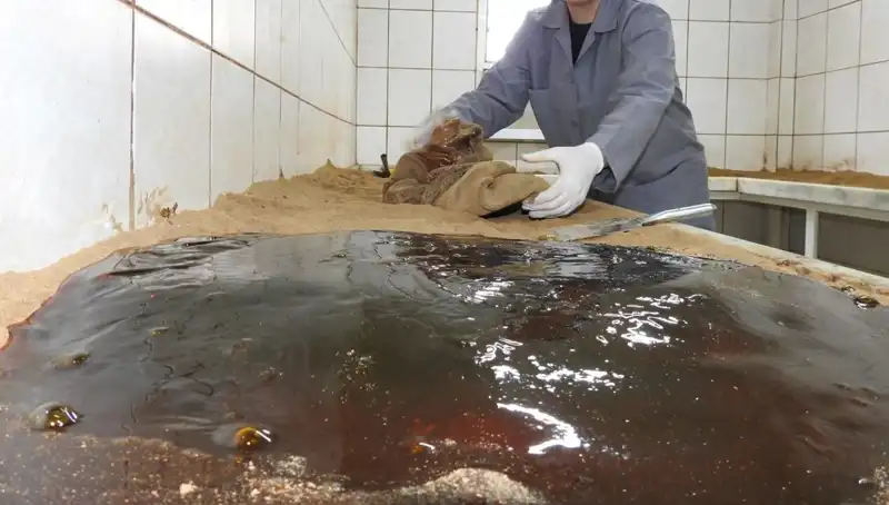485 Yıldır Süregelen Geleneğin Ardındaki Sır: Baharat Duası Ne Zaman Yapılacak?