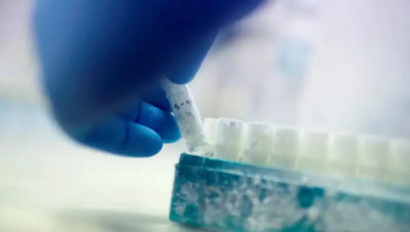 Tıbbi Felaket Mi? 85 Sperm Donörü Binlerce Çocuğun Babası Oldu!