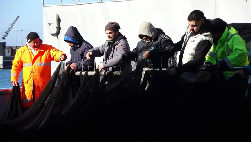Hamsi Avında Son Durum: Tekneler Erken Paydos Ediyor