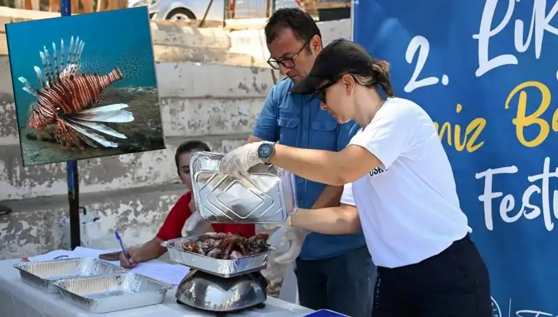 Antalya'da İstilacı Aslan Balığı Avlama Yarışması, Doğayı Korumak İçin Düzenleniyor