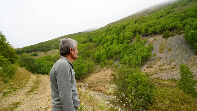 Gümüşhane'de Emekli İmam, 50 Bin Ağaç Dikerek Doğaya Katkıda Bulundu