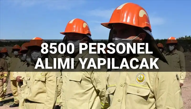 Tarım ve Orman Bakanlığı 2025'te 8500 Yeni Personel Alacak mı?
