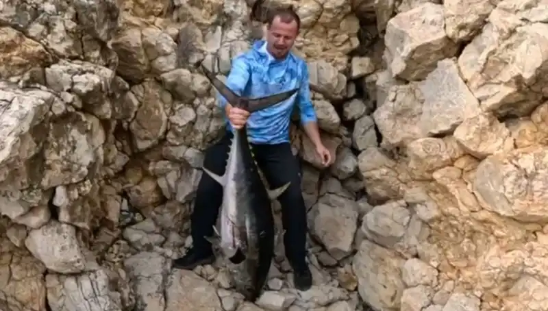 Saros'un Derinliklerinde 30 Kilo Ağırlığında Dev Balık Yakalandı!