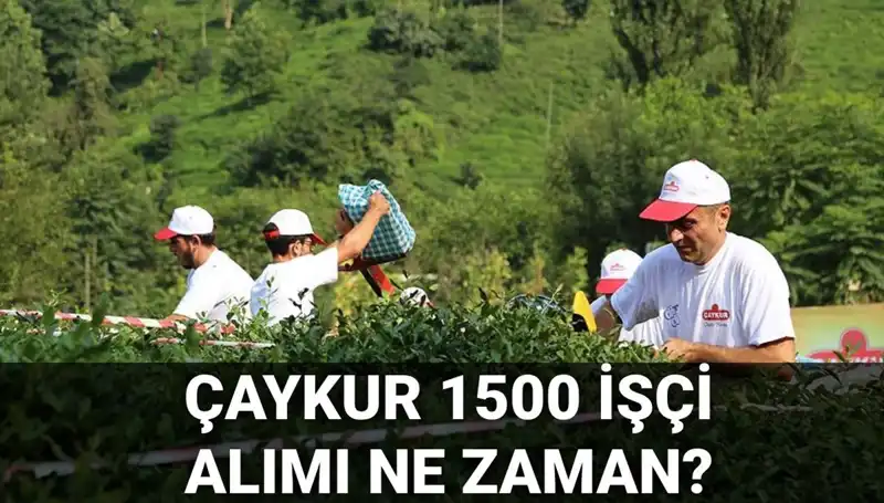 Çaykur İşçi Alımı Başvuruları Başladı! İşte Tüm Ayrıntılar