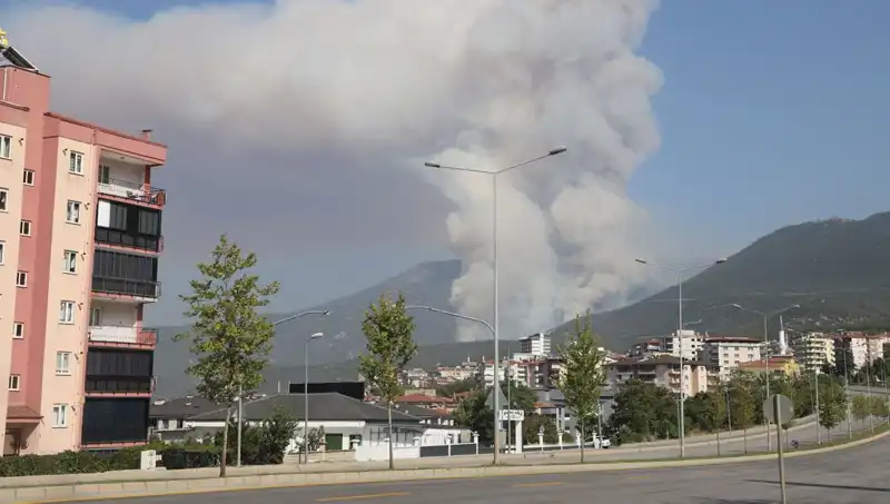 Denizli’deki Orman Yangını, Şüpheli Gözaltında: Olayın Ardındaki Sır Ne?