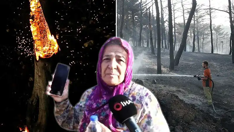 Çanakkale Orman Yangınları Kontrol Altına Alındı, Ancak Kayıplar Üzerinde Kara Bir Gölgede Süregeldi