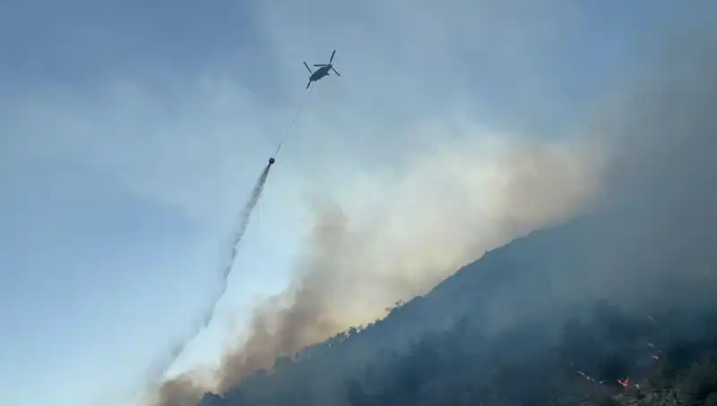 Söke’deki Orman Yangını Kontrol Altına Alındı, Bölgede Huzur Yükseliyor