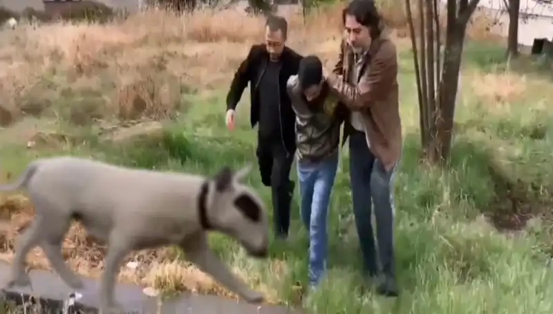 Türkiye'nin En Değerli Şampiyon Köpeği Çalındı, Hırsız Elde Edildi