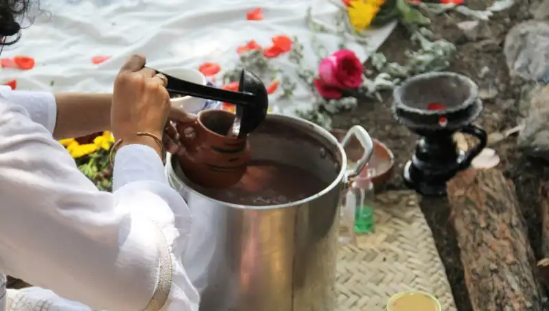 Ayahuasca Çayı: Gizemli Gelenek ve Yasal Durumu Nedir?