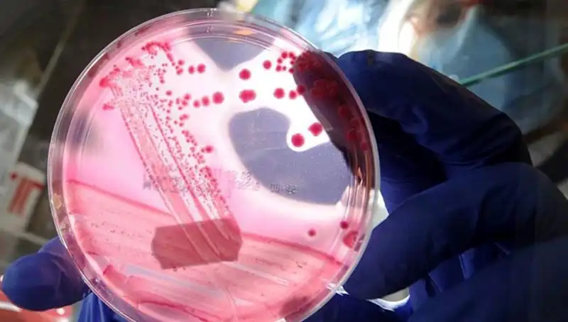Bilim İnsanları, AP2A1 Proteinini Baskılayarak Yaşlanmayı Geciktirdi