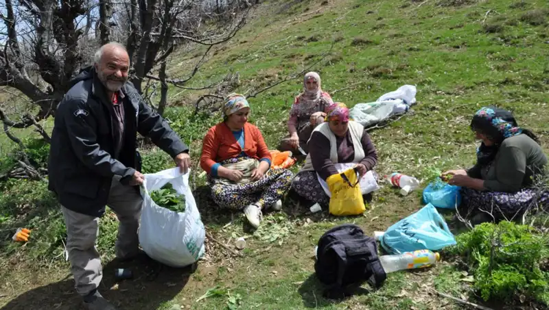 Türkiye’nin Dağlarında 5 Saat Yürüyerek Geçim Kaynağına Ulaşıyorlar