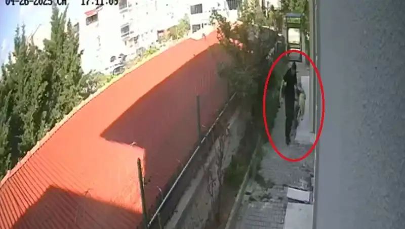 Can Dostlarına Şiddet! Doktorun Köpekleri Parçalama Skandalı